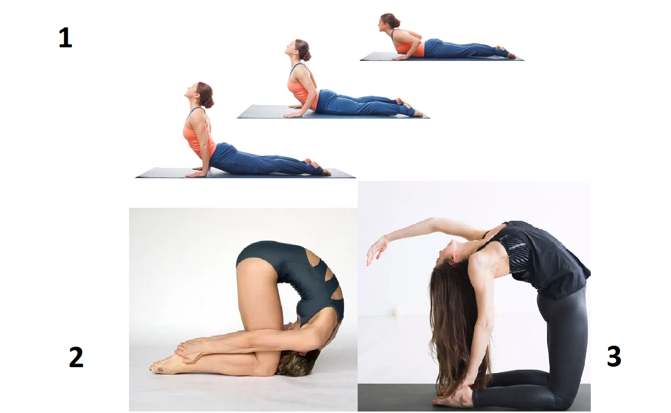 Các tư thế yoga tốt nhất để cân bằng nội tiết tố một cách tự nhiên